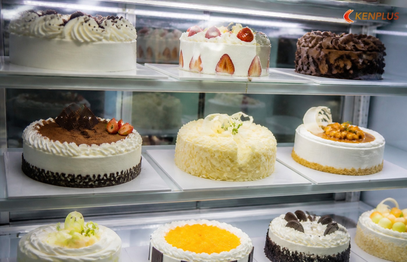Mẫu 04 — Tủ lạnh đặt cạnh vitrine